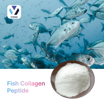 Fish Collagen Peptide