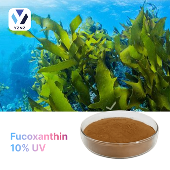 Fucoxanthin 10% UV