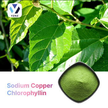 Sodium Copper Chlorophyllin