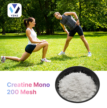 Creatine Mono 200 Mesh