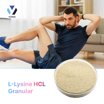 L-Lysine HCL Granular