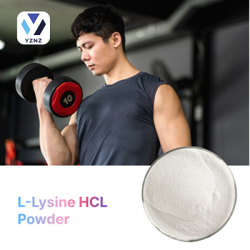 L-Lysine HCL Powder
