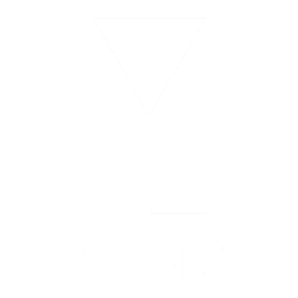 YZNZ Logo